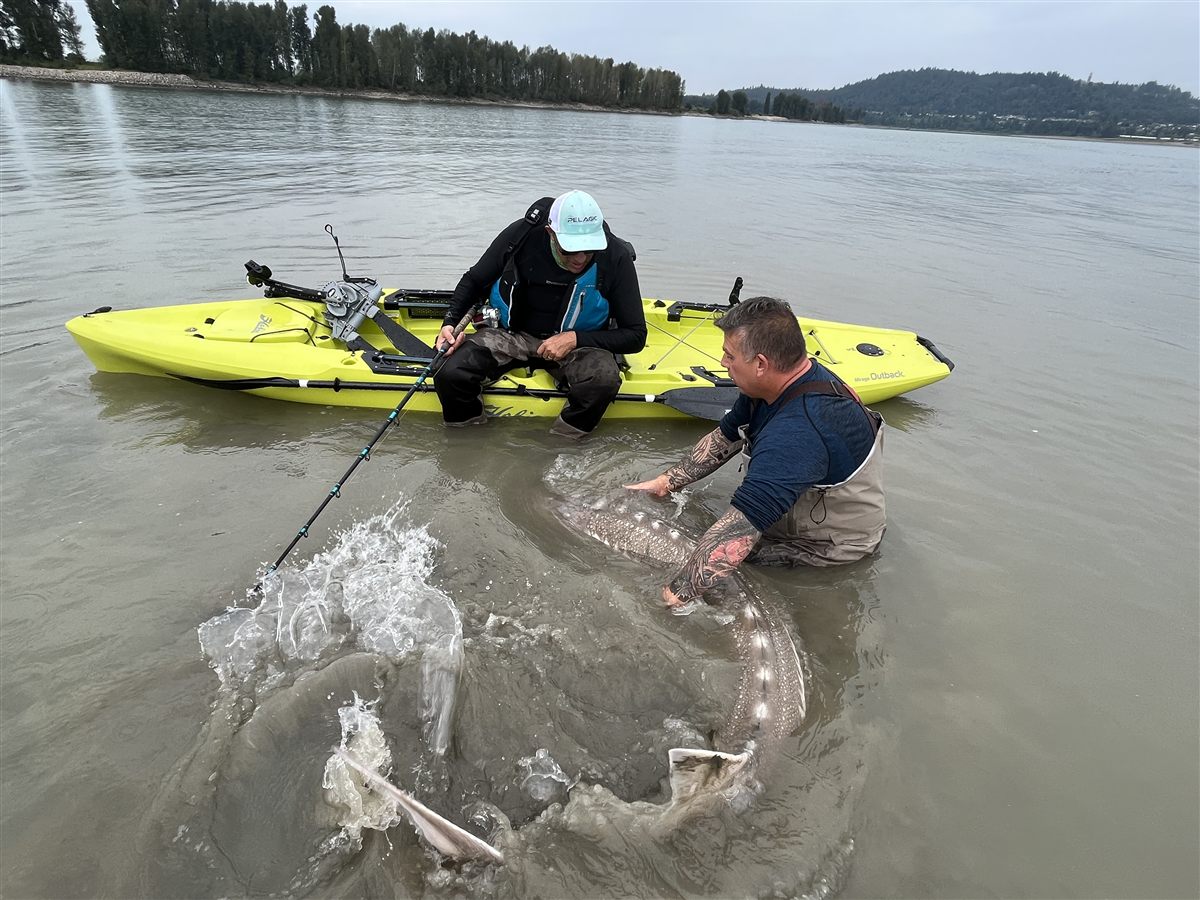 Michael on his kayak as a giant sturgeon thrashes in the shallows beside him