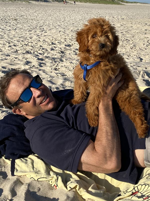 Puppy Hobie held up in the air on the beach