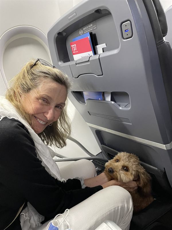 Hobie tucked in at a passenger's feet on an airplane