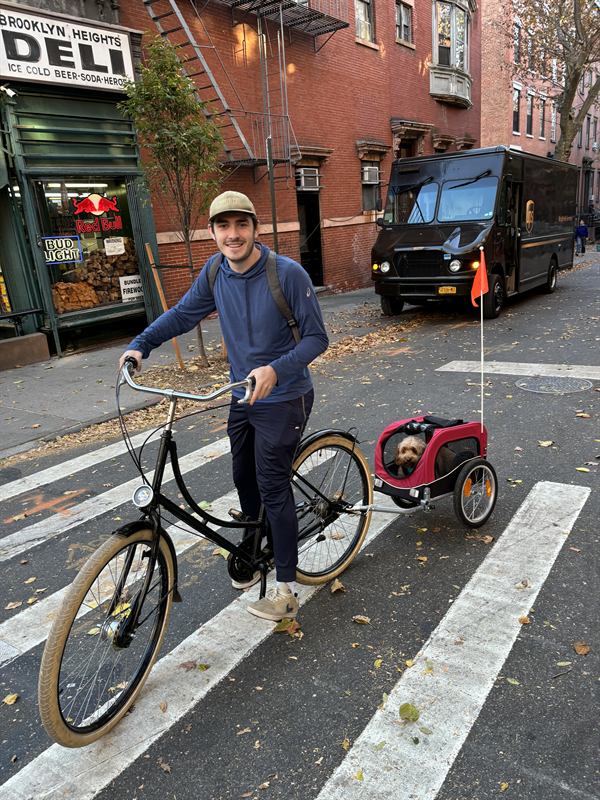 Hobie riding in a red bike trailer through the city