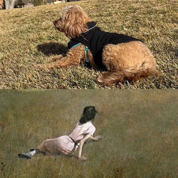Hobie lying in the grass, posed like the girl in Andrew Wyeth's Christina's World