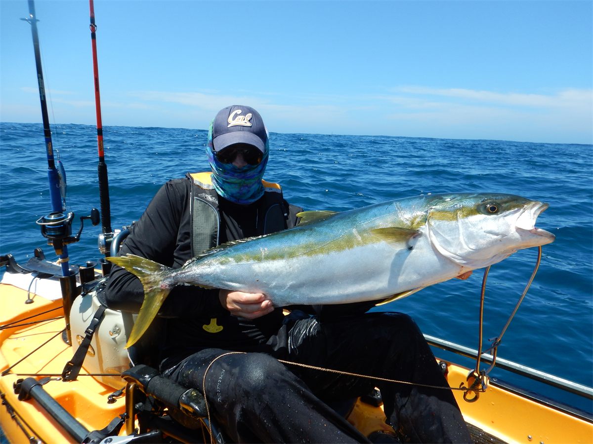 Kayak fishing for yellowtail in La Jolla