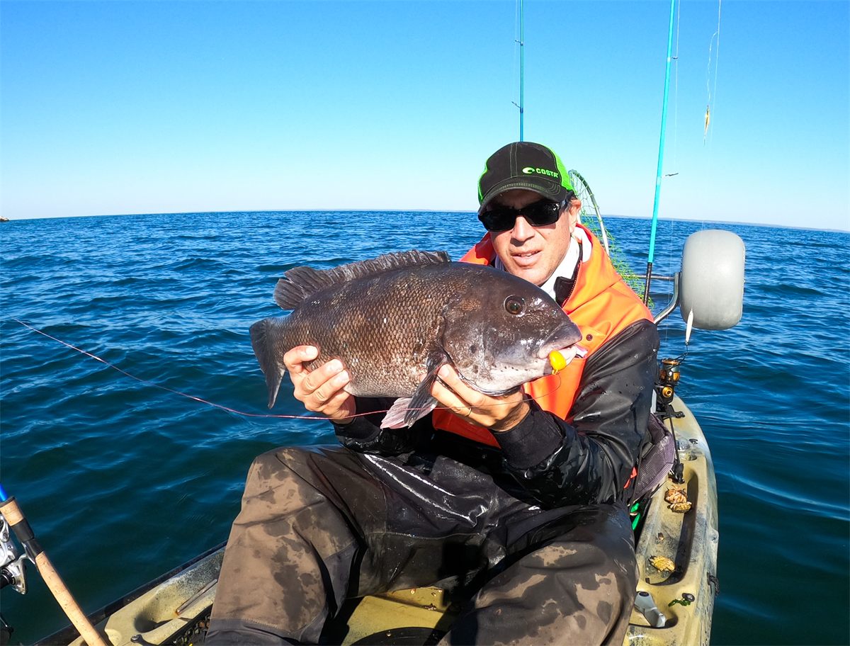 Kayak fishing for blackfish at Orient Point