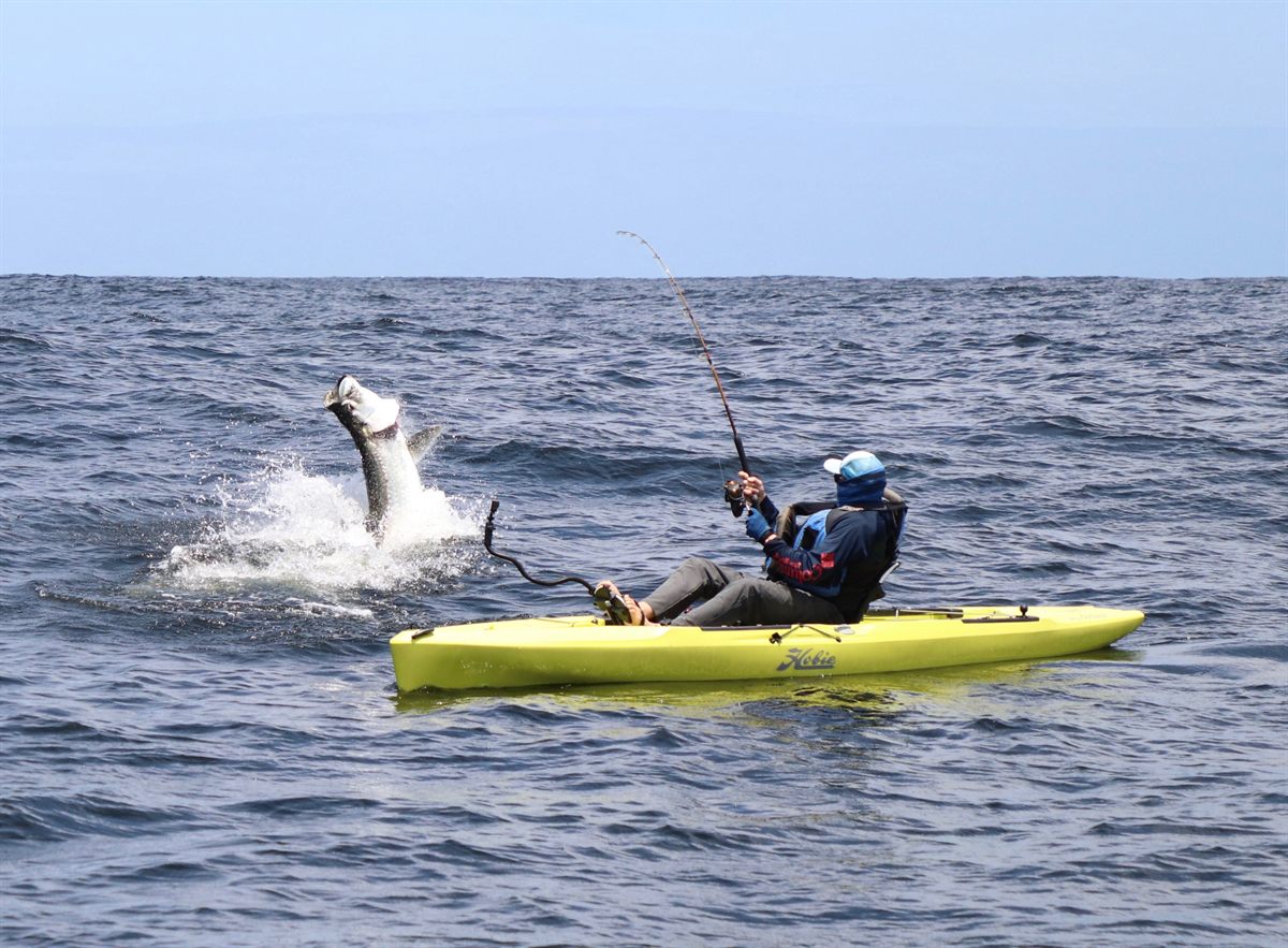 Epic kayak fishing for tarpon in Trinidad
